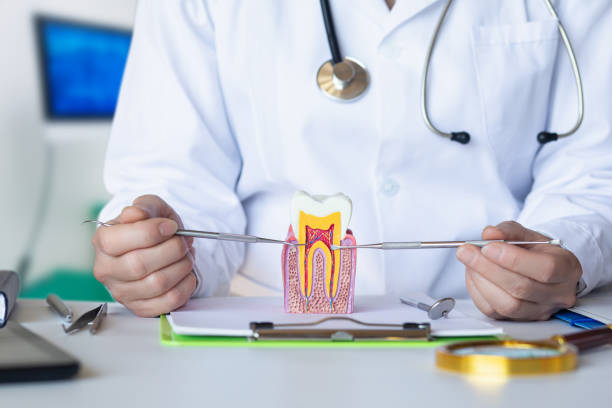 Best Emergency Dental Extractions in Mount Vernon, IL